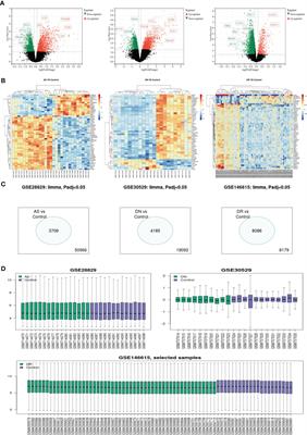 Exploring the shared molecular mechanism of microvascular and macrovascular complications in diabetes: Seeking the hub of circulatory system injury